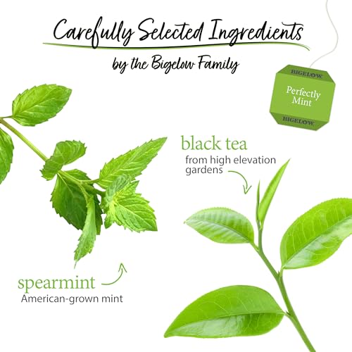 Bigelow Tea Perfectly Mint Black Tea, Caffeinated Spearmint Tea, 20 Count Box (Pack of 6), 120 Total Tea Bags